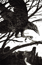 Cover for Wakening the Crow by Stephen Gregory - Solaris Books. Ink on clayboard, 11x15”.: