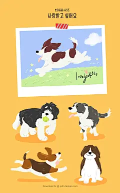 萌宠物小狗插图手绘插画