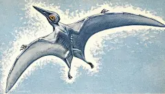 【观念探讨】谈古生物复原图中的恐怖谷理论。_看图_cryptozoology吧_百度贴吧