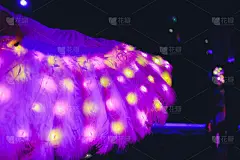 夜光裙，紫白色。在舞台上的表现。