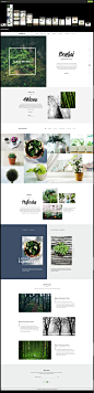 Bonsai - PSD Template for Landscapers & Gardeners Preview - ThemeForest,Bonsai - PSD Template for Landscapers & Gardeners Preview - ThemeForest