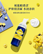 蜡菊活颜洁面泡沫-卸妆清洁-L'OCCITANE中国官网