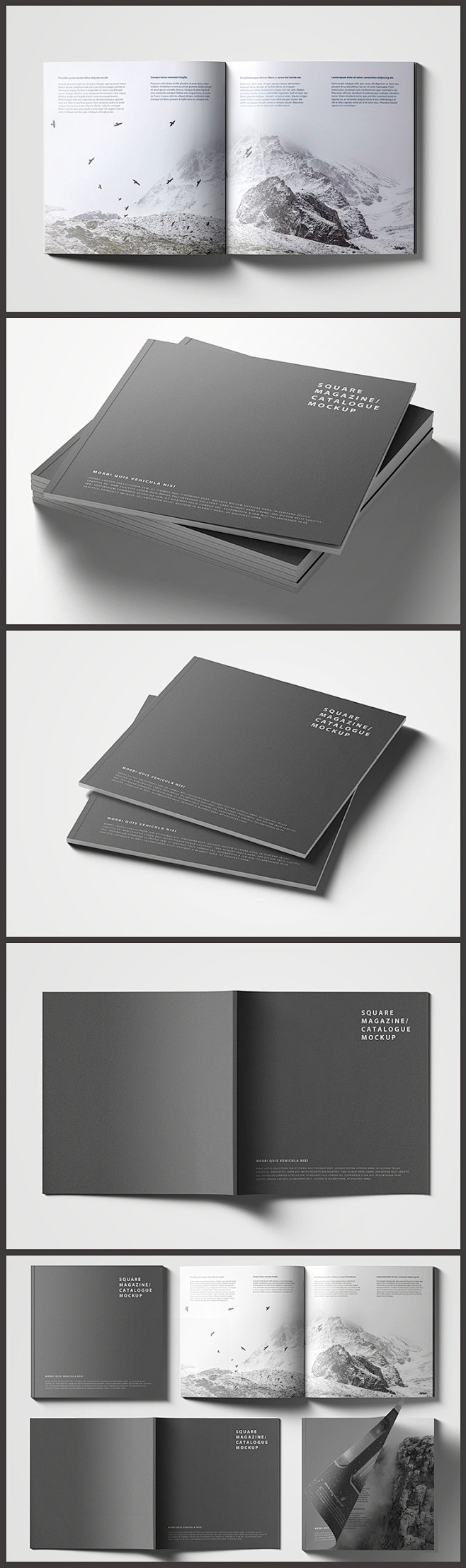 国外画册设计欣赏模板黑色简洁大气封面画册展示样机贴图企业画册公司