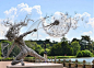 艺术家Robin Wight飘逸的铁丝雕塑 | 新鲜创意图志