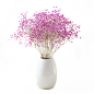花瓶png (46)