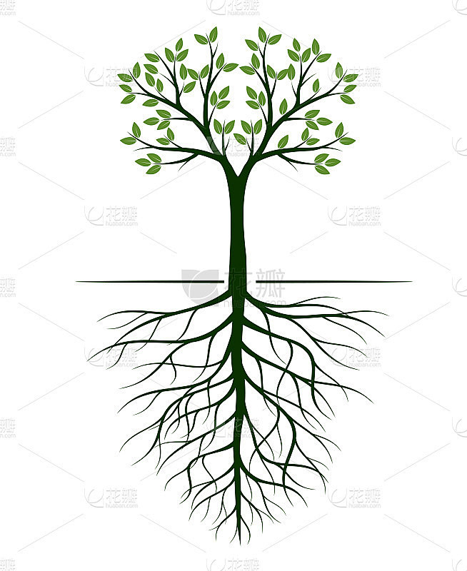 树的形状，有叶子和根。矢量插图轮廓。植物在花园。