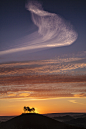 Some people feel the rain. Others just get wet., travelingcolors: Sunrise over Colmers Hill in...