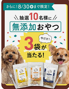 冰淇淋with采集到宠物