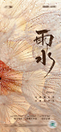 雨水节气