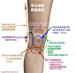 膝部疼痛常见原因