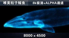 鲸鱼粒子海底梦幻唯美海洋蓝色蓝鲸鱼动画3d全息三维抹香鲸虎鲸-花瓣网