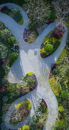 08林荫片植丛植