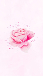 Watercolor Flower Phone Wallpaper