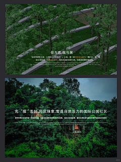 BpLssDeD采集到04-排版