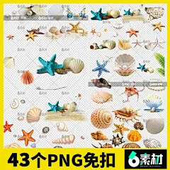 沙滩贝壳夏季清凉海边海滩手绘海洋海星图片背景png免抠元素素材-淘宝网