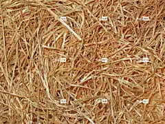 木丝 4K壁纸 Mac壁纸 免费壁纸 木头 4K壁纸1920X1080