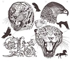 手绘插画动物斑马大象狮子鸟老虎老鹰画册头像AI矢量设计素材合集-淘宝网