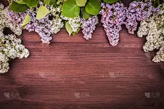 丁香花是白色和丁香花。以绿色花园为背景的淡紫色小插画。背景。文本的地方