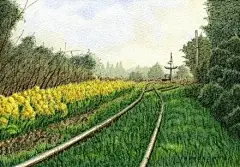 在列车上旅行，路旁樱花飞扬，人家三两。列车慢慢走，美景慢慢看。日本铁道画家 松本忠 用绘画展现出日本福岛县沿铁路的美丽景色。作品获得了日本「诗とメルヘン」插画荣誉提名奖。