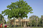 bespoke-playgrounds-kew-gardens-3-1-1200x800