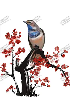 喜上眉梢 【酷图网】梅花,喜鹊,高清,300dpi,手绘,中式,古典