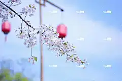 乌镇 Windows壁纸 高清壁纸 笔记本电脑壁纸 壁纸4K 西塘