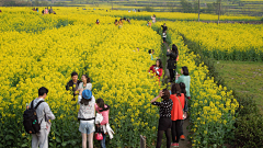 天天晴晴0采集到LANDSCAPE—乡村景观