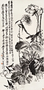 荷花荷叶墨汁涂，雨大不知香有无？频年弄笔作狡狯，买棹日日眼菰芦。青藤白阳呼不起，谁真好手谁野狐。画成且自挂粉壁，溪堂晚色同模糊。
（清 吴昌硕 墨荷图）