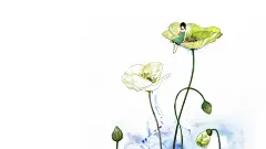 绿色小清新插画壁纸