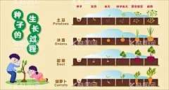 种子的生长过程  - 源文件下载【酷图网】植物生长,卡通植物,生长,发芽,收秋,植物观察,成长观察,种子的萌发,植物小报,土豆生长,洋葱生长过程,甜菜生长过程,萝卜生长过程,种子生长过程,