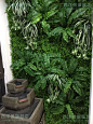 仿真植物墙绿化墙体仿真草坪 草皮阳台绿植装饰绿色植物背景墙-tmall.com天猫