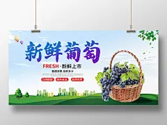 绿色插画新鲜葡萄水果促销宣传展板葡萄海报