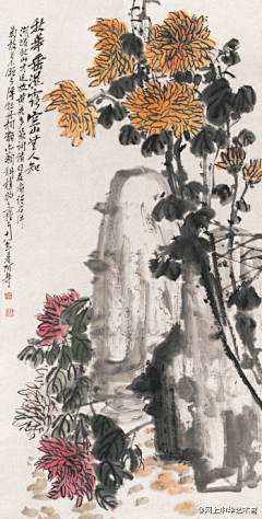 ldFpfnUh采集到菊花