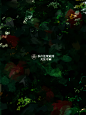 纯排底图 茶声制作 关注可商
花瓣花瓣，按我心意，开锁开锁思密达！
@茶声还很年轻