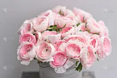 毛莨属植物,粉色,花瓶,花朵,壁纸,淡雅,纹理效果,灰色背景,花,串