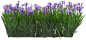 1f7274ba2561e04519fb9df81bb1a39ec652ca112dd45-z99Gxp