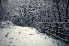 白雪皑皑的途径