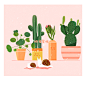 植物插画