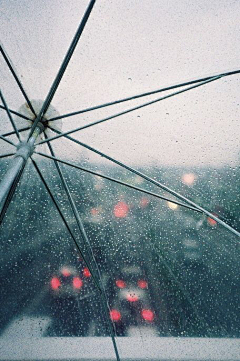 一舟之语采集到雨思