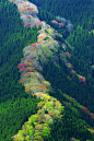 我见青山多妩媚，料青山见我应如是。
天川村山，奈良，日本
