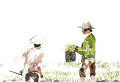 田地中的劳动者图片下载