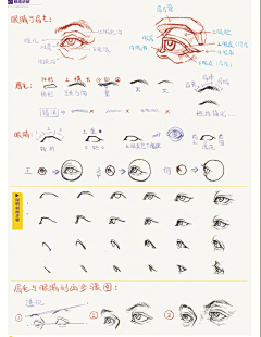 涡来守狐采集到眼