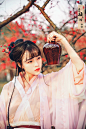 且插梅花醉洛阳_10