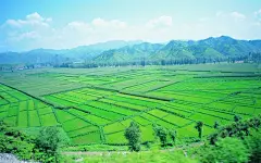 夏日广阔草原风光桌面壁纸4