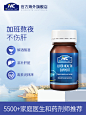 澳洲NC奶蓟草护旰片60粒肝脏排水飞蓟素熬夜必备神器保健品进口-tmall.hk天猫国际