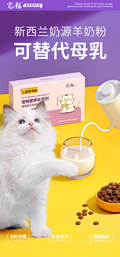 阿艳0313采集到宠物用品