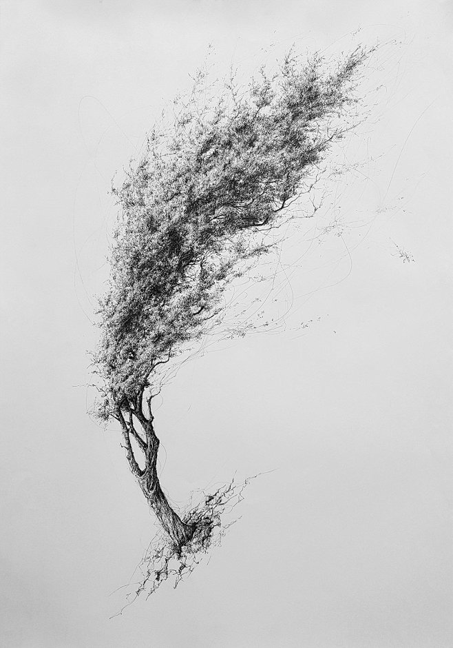 Tree No.5 : Pen draw...