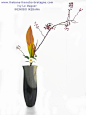 www.ikebana-ikenobo-bretagne.com Shoka Shimputai (Modern) by Ivy Le Maguer, Senior Professor of the Ikenobo School of Ikebana (Kyoto, Japan) Aspidistra, Camillia, Rose hips