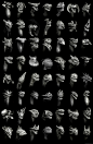 55 Dragon bust sketches, Damir G. Martin : Back in 2011 I did a "design marathon" on my own where I created 55 dragon bust sketches in Zbrush. I wanted to move out of my comfort zone and simply push my self in a direction I never took. There are