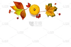 Thanksgiving dinner. Autumn Natural food with oran